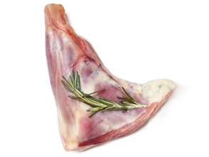 Shank